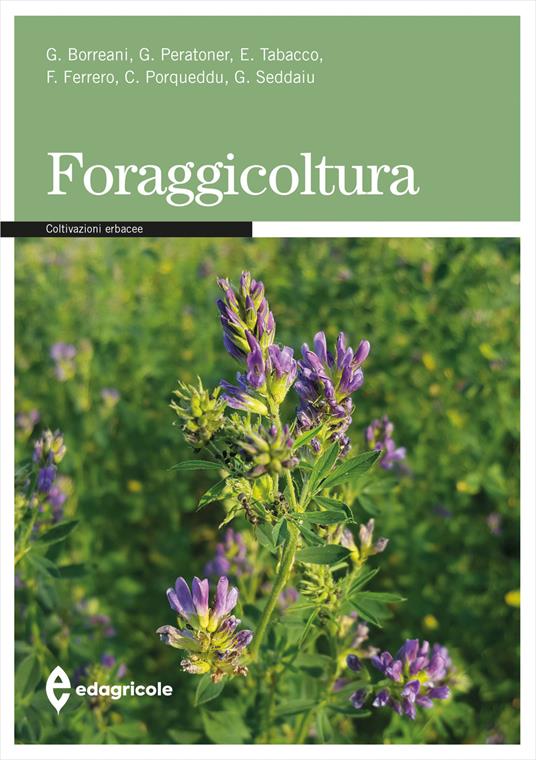 Foraggicoltura - Giorgio Borreani,Giovanni Peratoner,Ernesto Tabacco - copertina