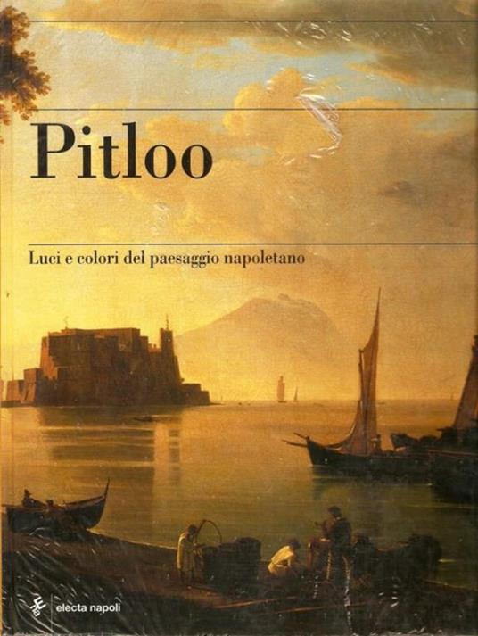Pitloo - Marina Causa Picone,Stefano Causa - copertina