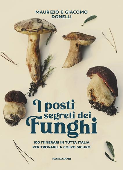 I posti segreti dei funghi. 100 itinerari in tutta Italia per trovarli a colpo sicuro - Giacomo Donelli,Maurizio Donelli - ebook