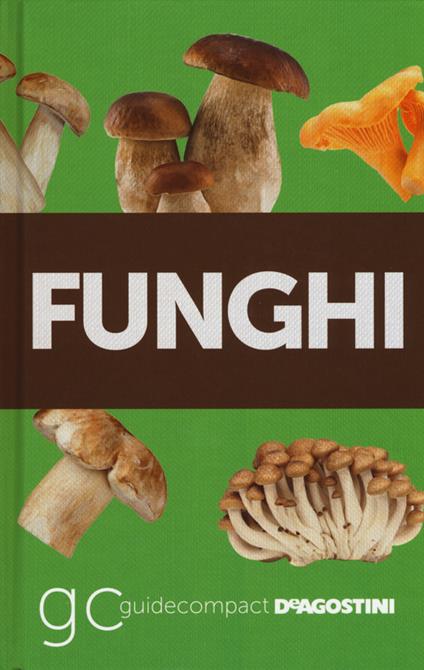 Funghi - Ettore Bielli - copertina