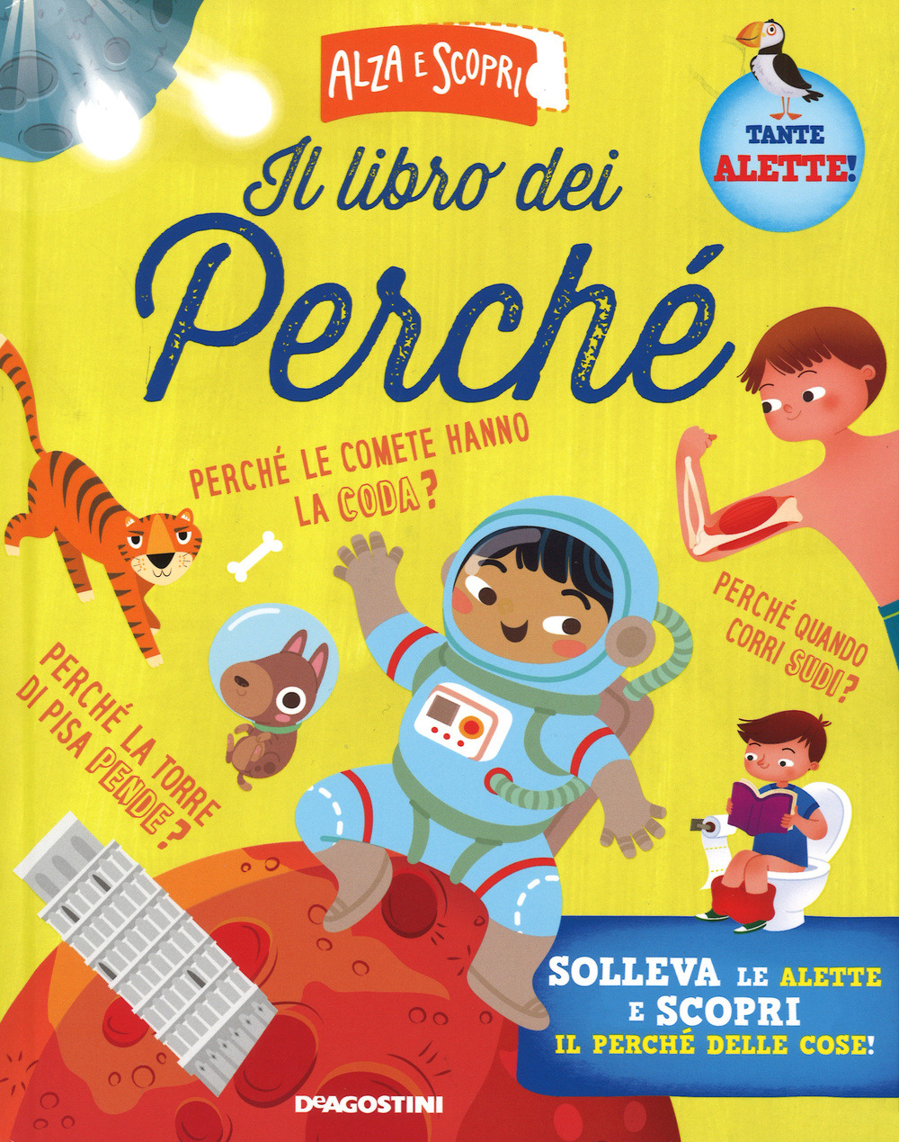 Libraccio