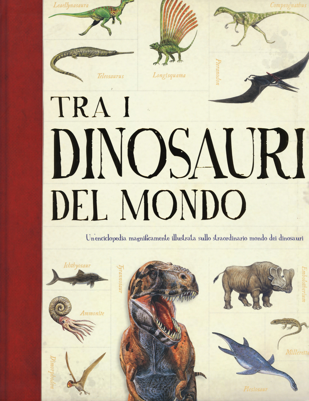 Libraccio