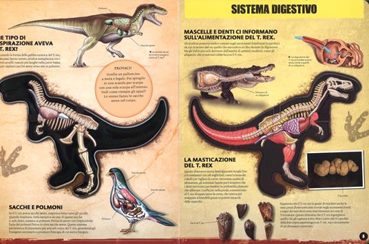 Dentro il T-rex. Ediz. a colori - Dennis Schatz - 3