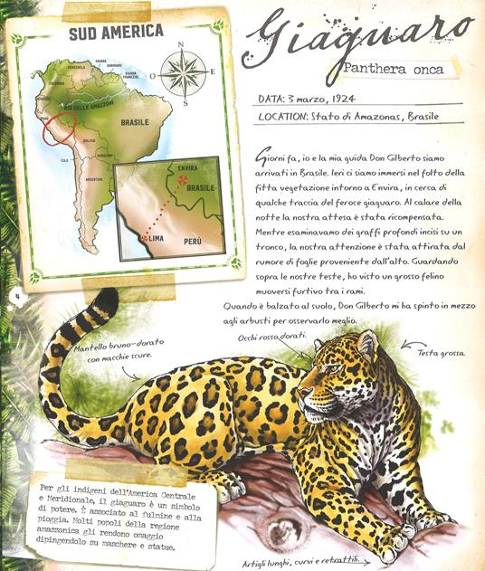 Foreste pluviali. Con gadget - Nancy Honovich - 2