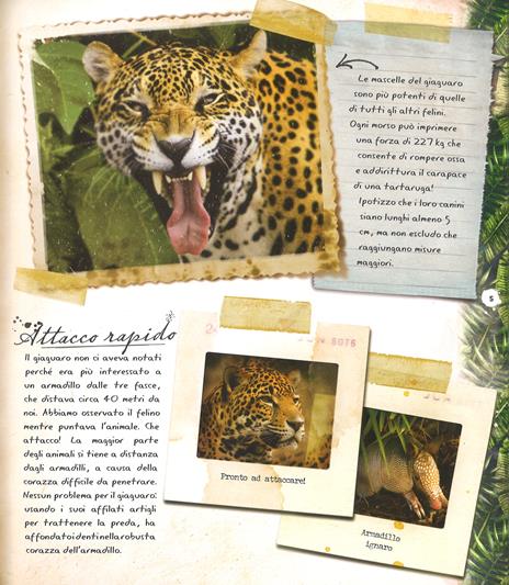 Foreste pluviali. Con gadget - Nancy Honovich - 3