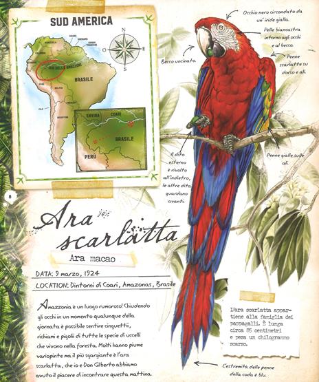 Foreste pluviali. Con gadget - Nancy Honovich - 4