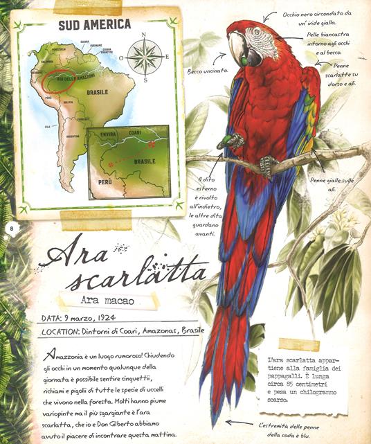 Foreste pluviali. Con gadget - Nancy Honovich - 4