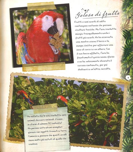 Foreste pluviali. Con gadget - Nancy Honovich - 5