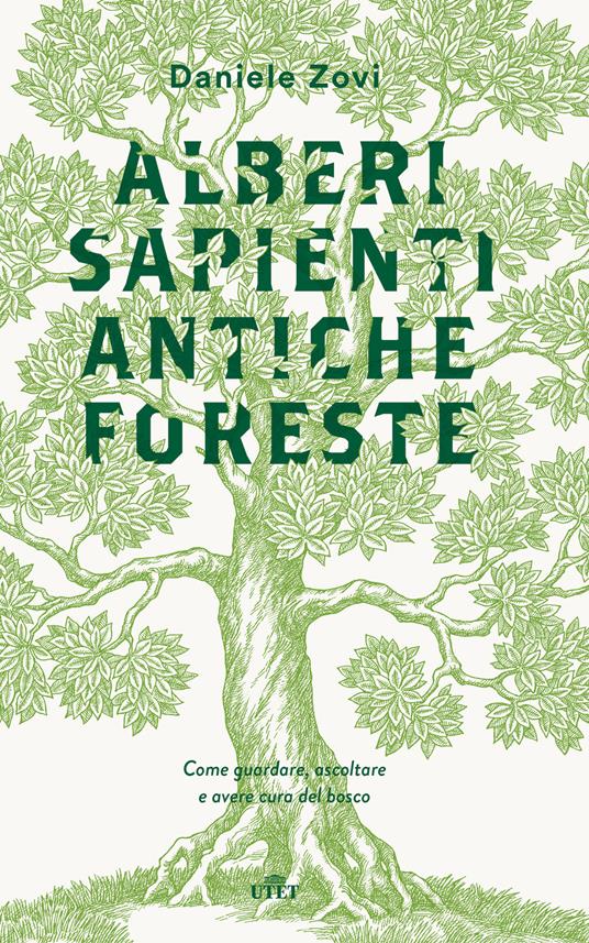 Alberi sapienti antiche foreste. Come guardare, ascoltare e avere cura del bosco. Con ebook - Daniele Zovi - copertina