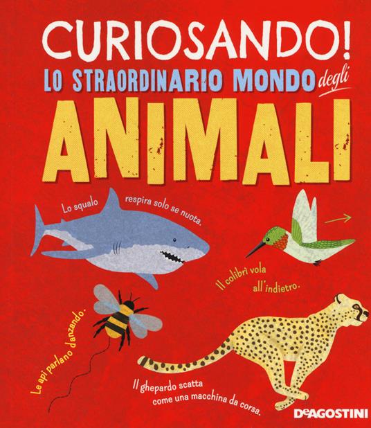 Curiosando! Lo straordinario mondo degli animali. Ediz. a colori - Clare Hibbert - copertina