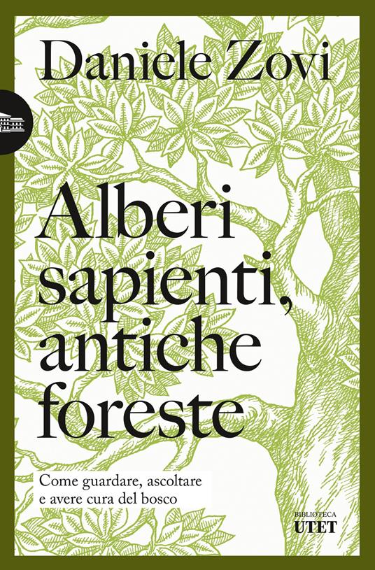 Alberi sapienti antiche foreste. Come guardare, ascoltare e avere cura del bosco - Daniele Zovi - ebook