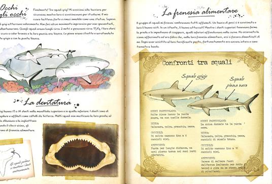 Creature del mare. Mondo safari. Con gadget - Phyllis Perry - 2