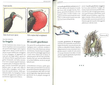 La vita amorosa degli animali. Ediz. a colori - Katharina Von Der Gathen - 3