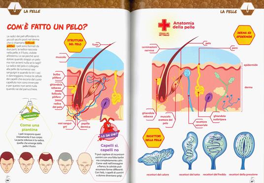 La grande enciclopedia del corpo umano. Siamo fatti così. Esplorando il corpo umano - 6