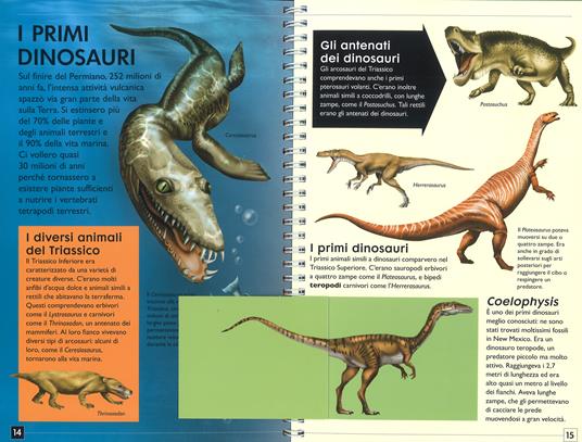 Dinosauri e altre creature preistoriche. Discovery plus. Ediz. a spirale - Douglas Palmer - 3