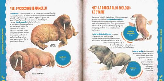 Animali. 500 curiosità, stranezze, record - 6
