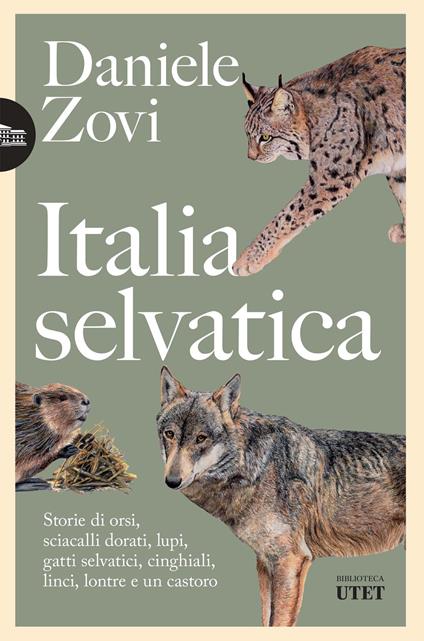 Italia selvatica. Storie di orsi, lupi, gatti selvatici, cinghiali, lontre, sciacalli dorati, linci e un castoro - Daniele Zovi - ebook