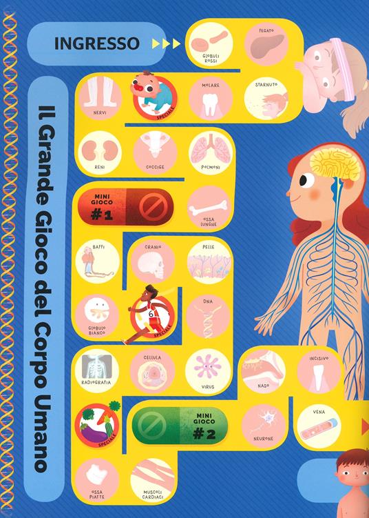 Il gioco del corpo umano. Super sticker. Con adesivi. Ediz. a colori - 4