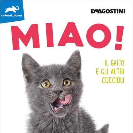 Miao! Il gatto e gli altri cuccioli. Ediz. a colori - copertina