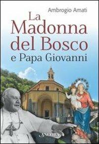 La Madonna del bosco e papa Giovanni - Ambrogio Amati - copertina
