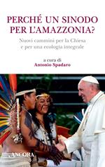 Perché un sinodo per l'Amazzonia? Nuovi cammini per la Chiesa e per una ecologia integrale