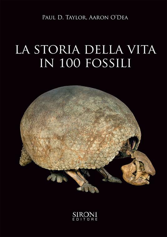 La storia della vita in 100 fossili. Ediz. a colori - Paul D. Taylor,Aaron O'Dea - copertina