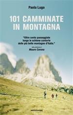 101 camminate in montagna