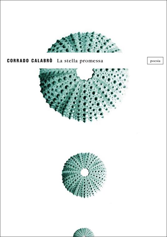 La stella promessa - Corrado Calabrò - ebook