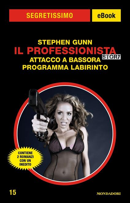 Il Professionista story: Attacco a Bassora-Programma Labirinto - Stephen Gunn - ebook