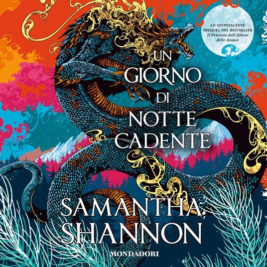 Un giorno di notte cadente