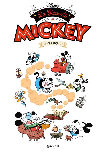 La gioventù di Mickey - copertina