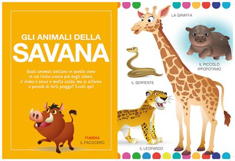 Animali nei loro ambienti. Disney baby. Ediz. a colori - 4