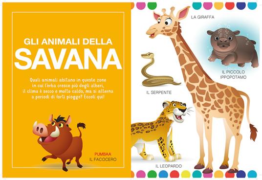 Animali nei loro ambienti. Disney baby. Ediz. a colori - 4