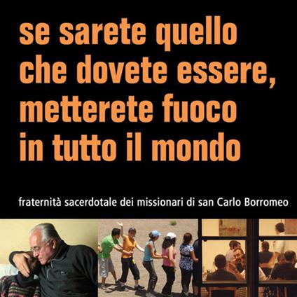 Se sarete quello che dovete essere, metterete fuoco in tutto il mondo. Fraternità sacerdotale dei missionari di san Carlo Borromeo - copertina