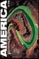 America. Ediz. illustrata - Jim Wark - copertina