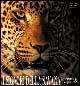 I signori della savana. Leopardi e ghepardi. Ediz. illustrata - Christine Denis Huot,Michel Denis Huot - copertina