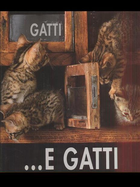 Gatti, gatti... e gatti. Ediz. illustrata - Angela Scipioni - 3