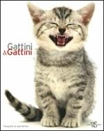 Gattini & gattini. Ediz. illustrata