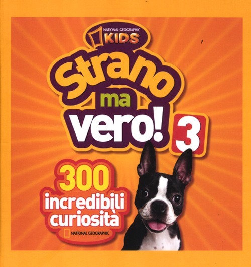 Libraccio