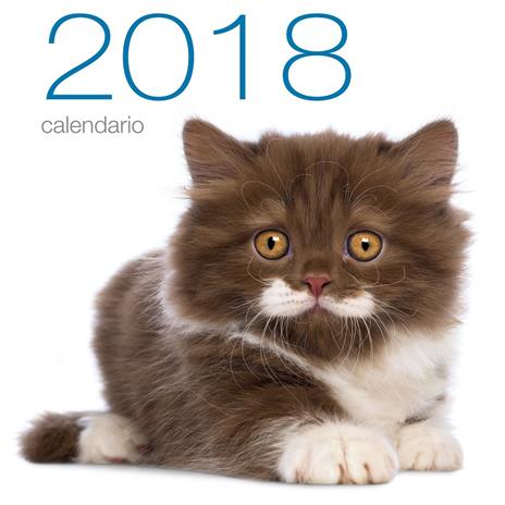 Gatti. Calendario da muro 2018. Ediz. illustrata - copertina