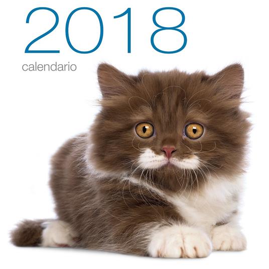 Gatti. Calendario da muro 2018. Ediz. illustrata - copertina