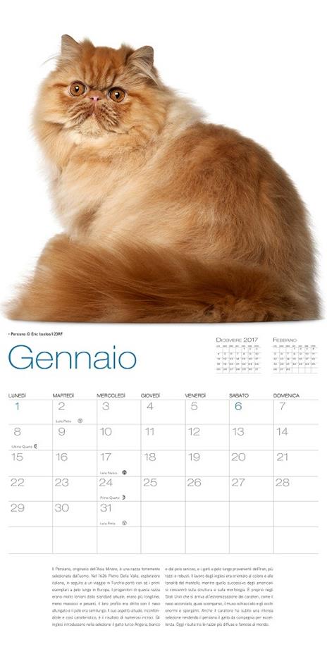 Gatti. Calendario da muro 2018. Ediz. illustrata - 2