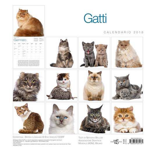 Gatti. Calendario da muro 2018. Ediz. illustrata - 3