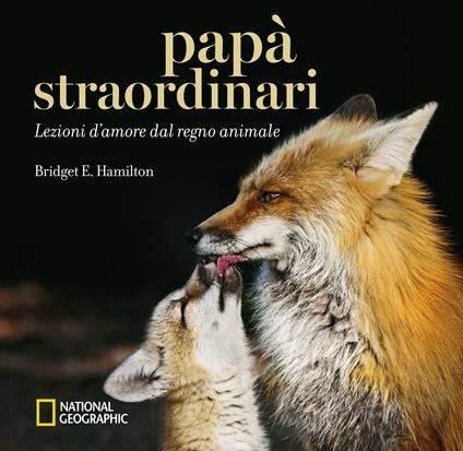 Papà straordinari. Lezioni d'amore dal regno animale. Ediz. a colori - Bridget E. Hamilton - copertina