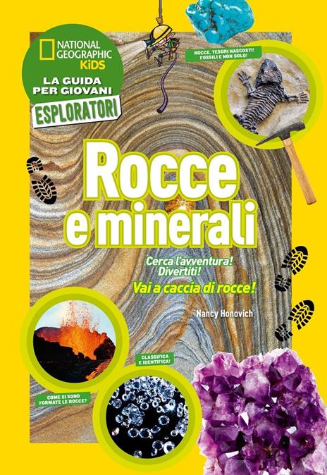 Rocce e minerali. Cerca l'avventura! Divertiti! Ediz. a colori - Nancy Honovich - copertina