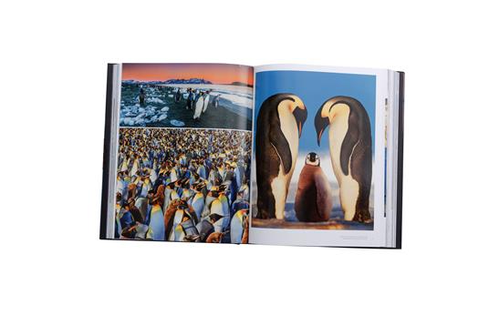 Eden. Ediz. illustrata - Art Wolfe - 8