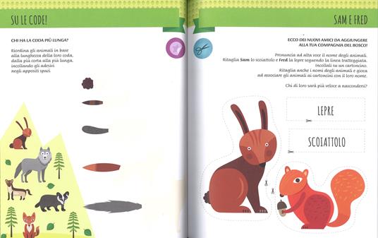 Il mio primo libro degli animali del bosco. 3-4 anni. Montessori: un mondo di conquiste. Con adesivi. Ediz. a colori - Chiara Piroddi - 4