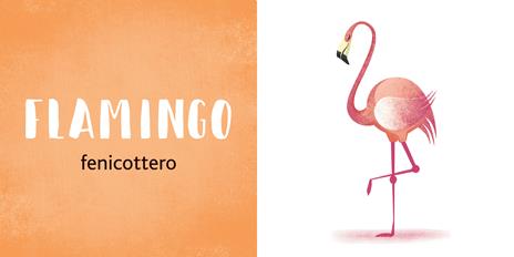 Wild animals. Le mie prime parole in inglese. Ediz. a colori - Anna Láng - 4