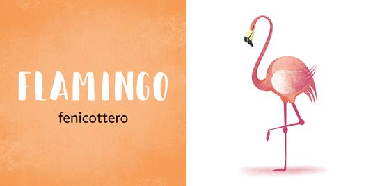 Wild animals. Le mie prime parole in inglese. Ediz. a colori - Anna Láng - 4