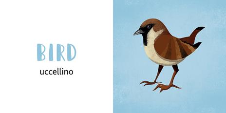 Forest animals. Le mie prime parole in inglese. Ediz. a colori - Anna Láng - 4